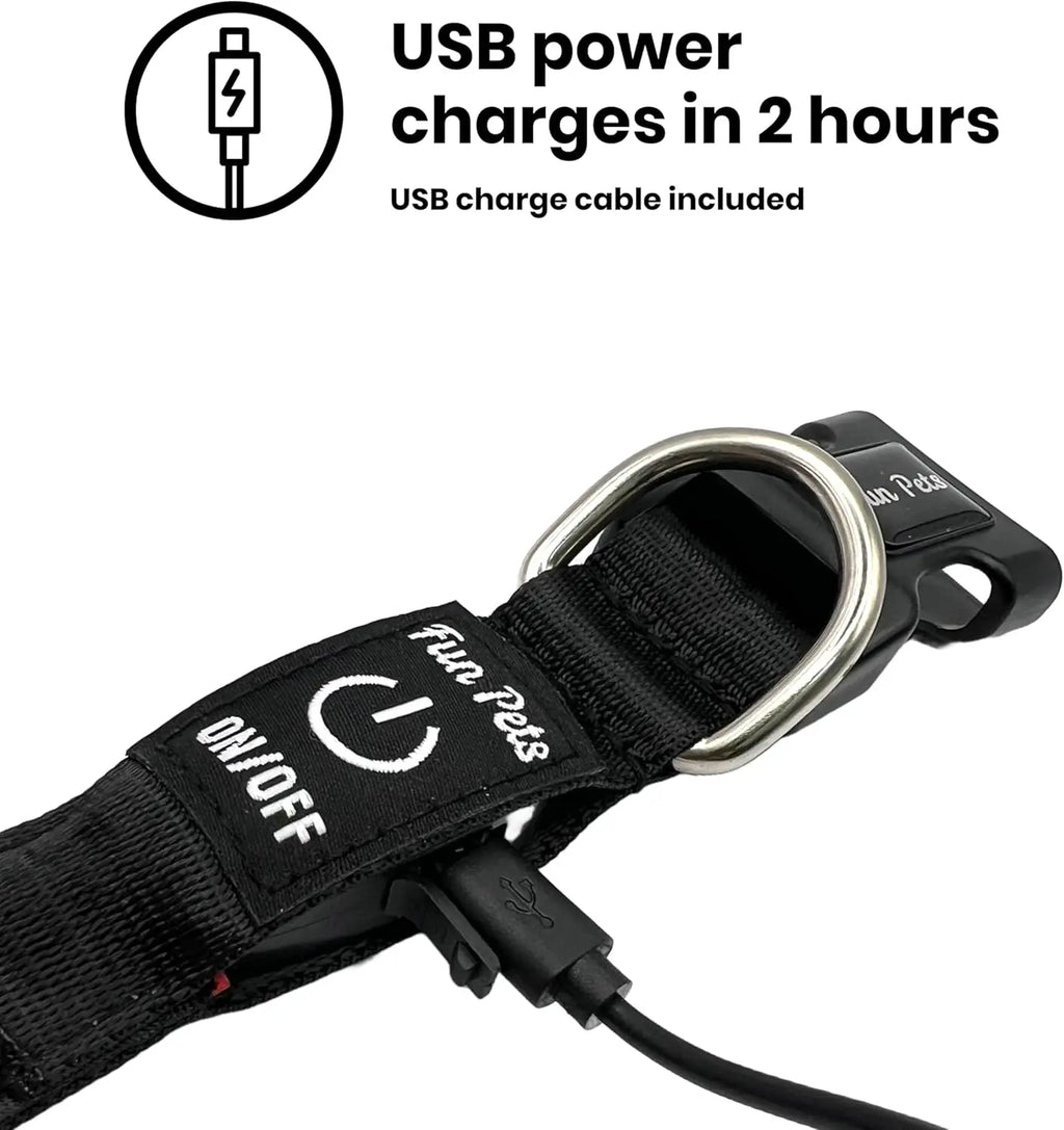 Dog Collar LED Night Safety Flashing or Glowing In the Dark