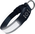 Dog Collar LED Night Safety Flashing or Glowing In the Dark