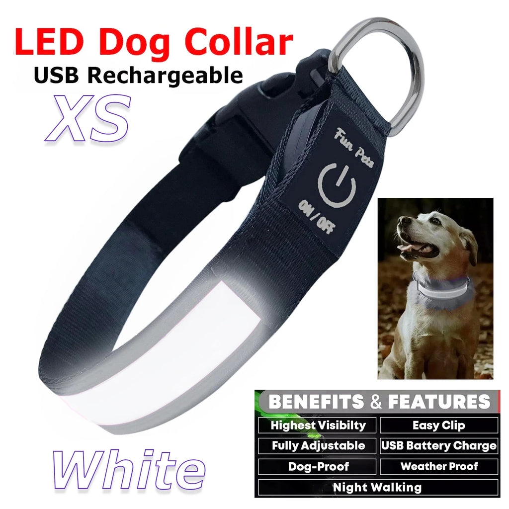 Dog Collar LED Night Safety Flashing or Glowing In the Dark